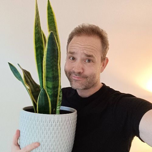 Profile picture for Dave Waugh