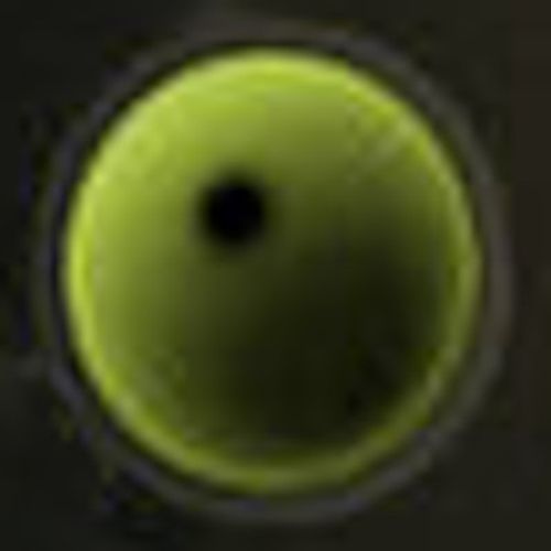 Profile picture for Steph LVDM