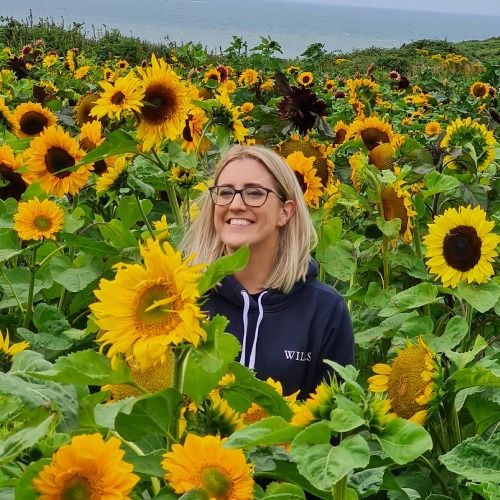 Profile picture for Lisa Jones